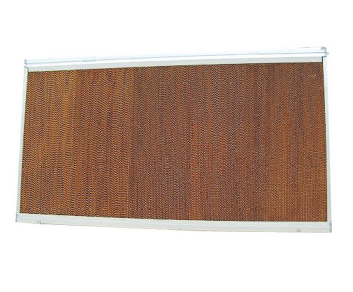 �����ʪ��