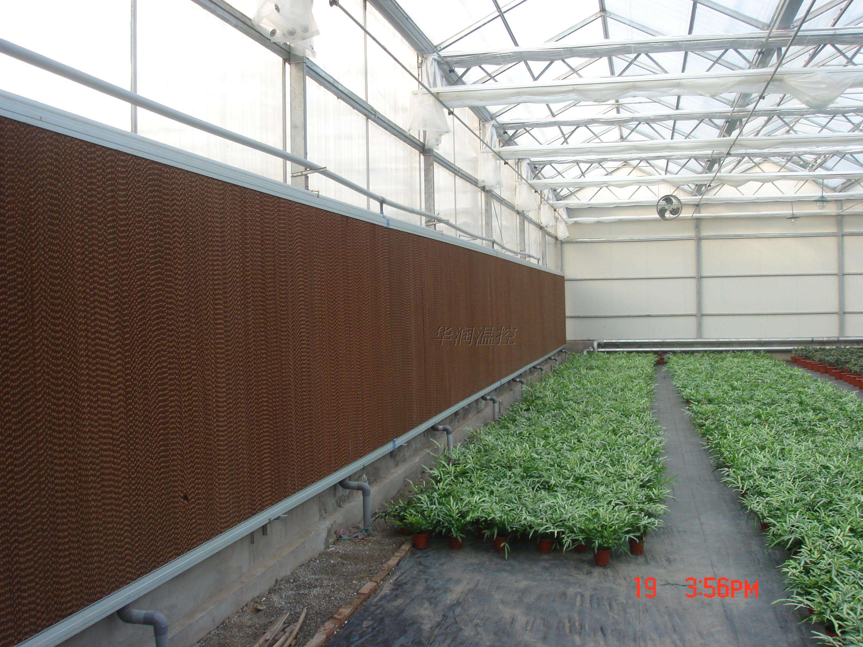 ˮ��ǽ����