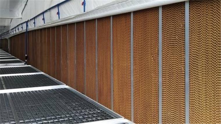 ˮ��ǽ����