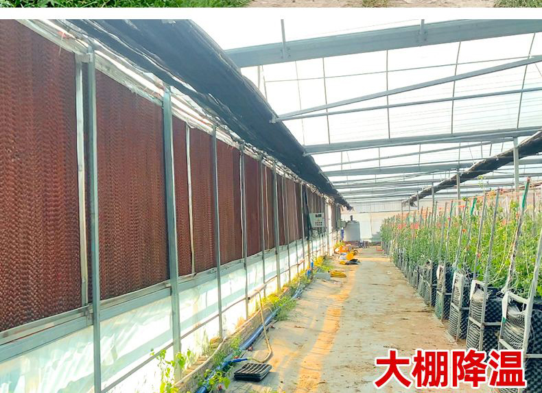 ũҵ��ֲˮ��ǽ