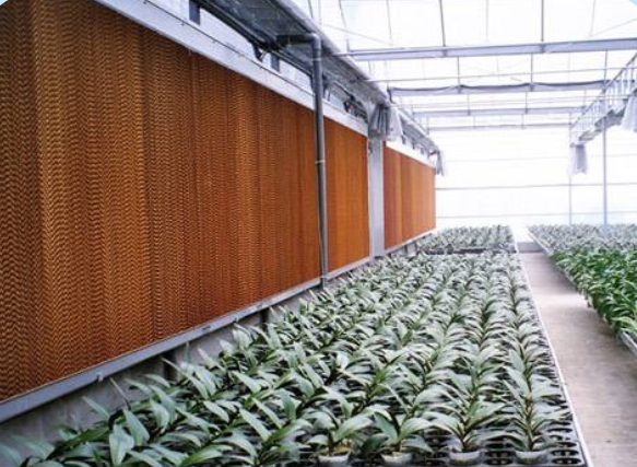 ˮ��ǽ���̰���