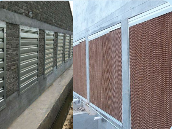 ˮ��ǽ���̰���